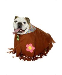 View Item Hippie Dog Costume