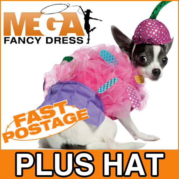 Cupcake Pet Dog Fancy Dress Katy Perry Celebrity Fancy Dress Food Fun