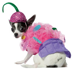View Item Cupcake Dog Costume