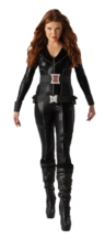 View Item Ladies Black Widow Fancy Dress Costume