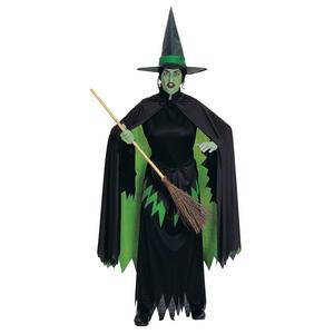 Ladies' Wicked Witch Wizard of Oz Fancy Dress Costume
