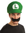 View Item Mario Bros Luigi Moustache & Hat Fancy Dress Kit