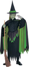 View Item Girl's Wicked Witch Halloween Fancy Dress Costume.