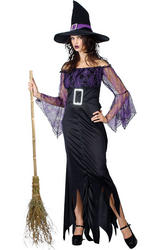 View Item Ladies Mystical Witch Halloween Fancy Dress Costume