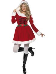 View Item Ladies Miss Santa Fancy Dress Costume