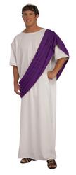 View Item Men's  Roman Noble Fancy Dress Costume