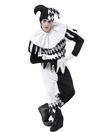 View Item Men's Harlequin Jester Fancy Dress Costume