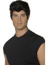 View Item Grease Danny Zuko Wig