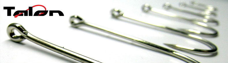 Lines & Terminal