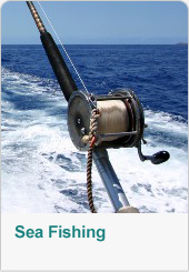 Sea Fishing