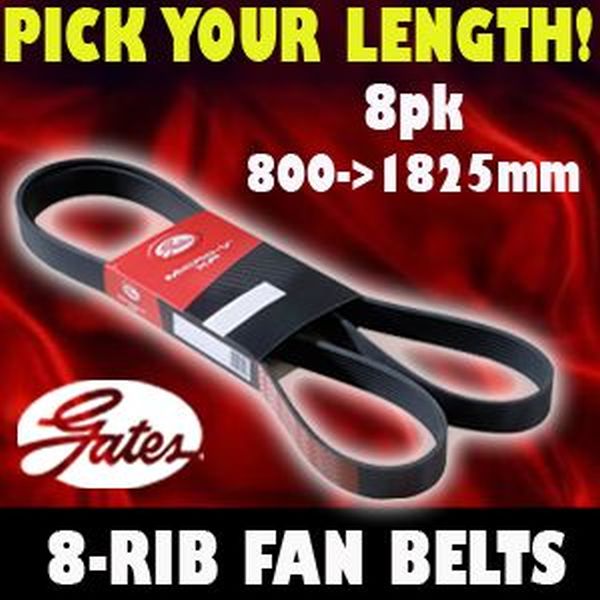 Fan Belt Drive Belt Ribbed Belt 8pk (Choose Length 800 to 1825mm), 8