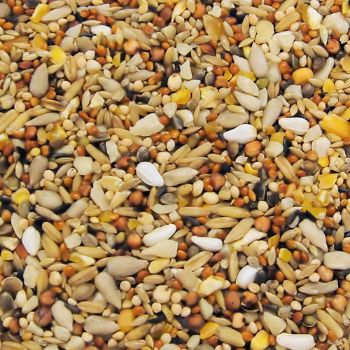 20kg wild bird seed high quality animal feed attact 20kg wild bird seed high quality animal feed attact