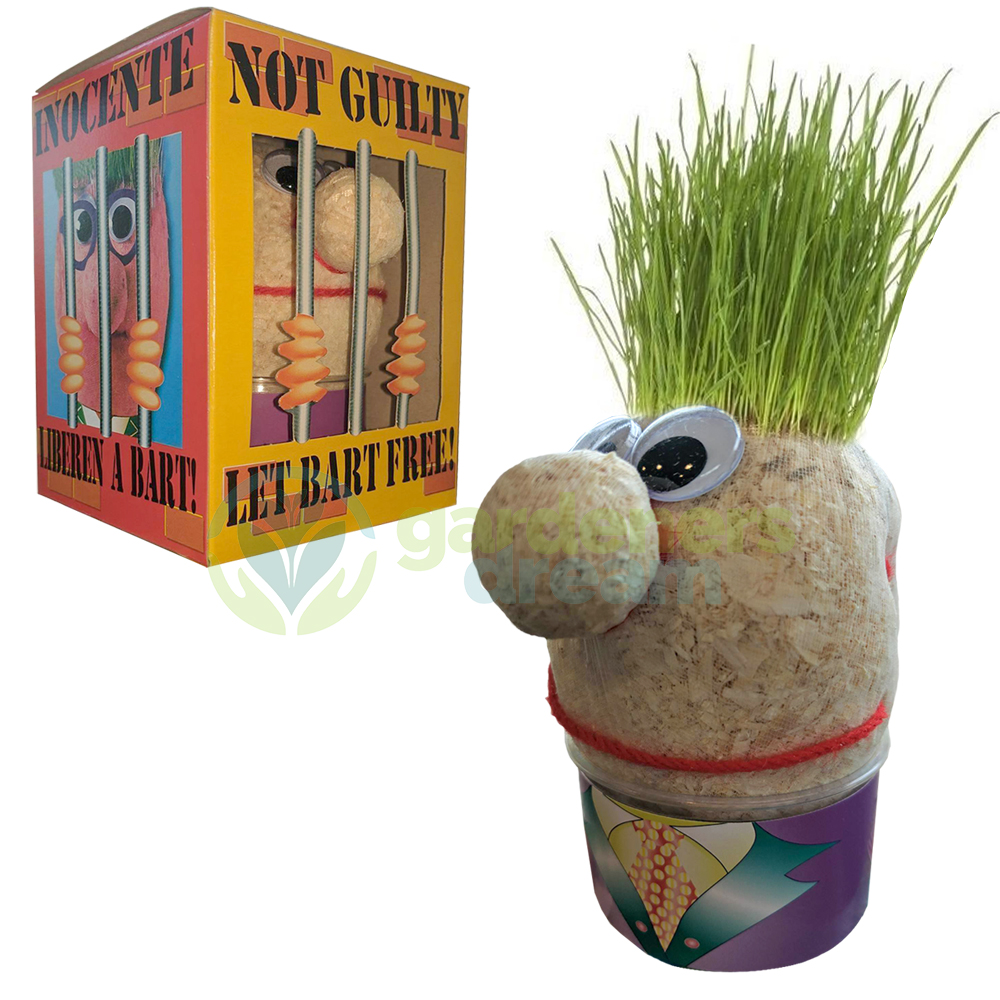 GARDENERSDREAM GRASSHEAD GROW YOUR OWN GRASS HAIR STYLE TOY HEAD PLANT