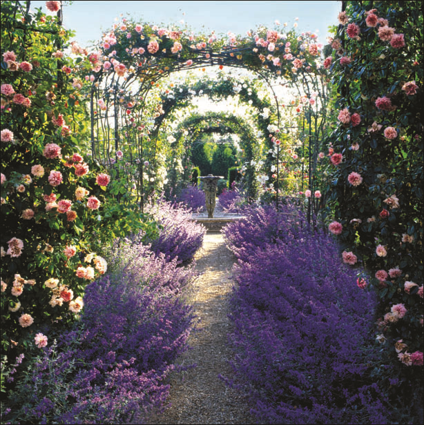 Nymans Garden National Trust Greeting Cards Gift Card With Pot Of Tea