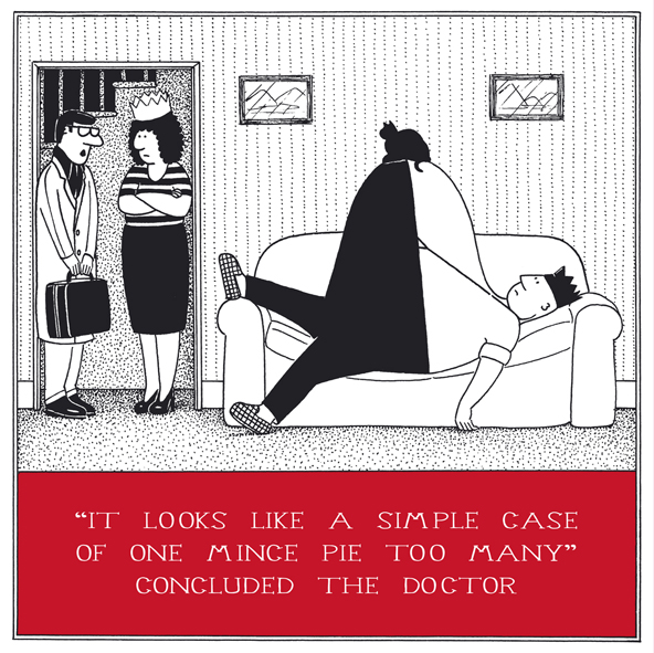 One Mince Pie Too Many Funny Fred Christmas Card Cards Love Kates