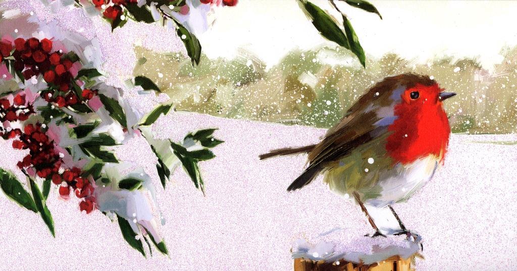 Traditional Christmas Cards - MPS-857000 – It's A Black ...