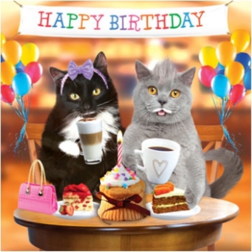 3D Holographic Cats Coffee & Cake Birthday Card Square Greeting Cards