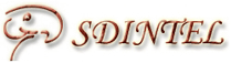 SDINTEL