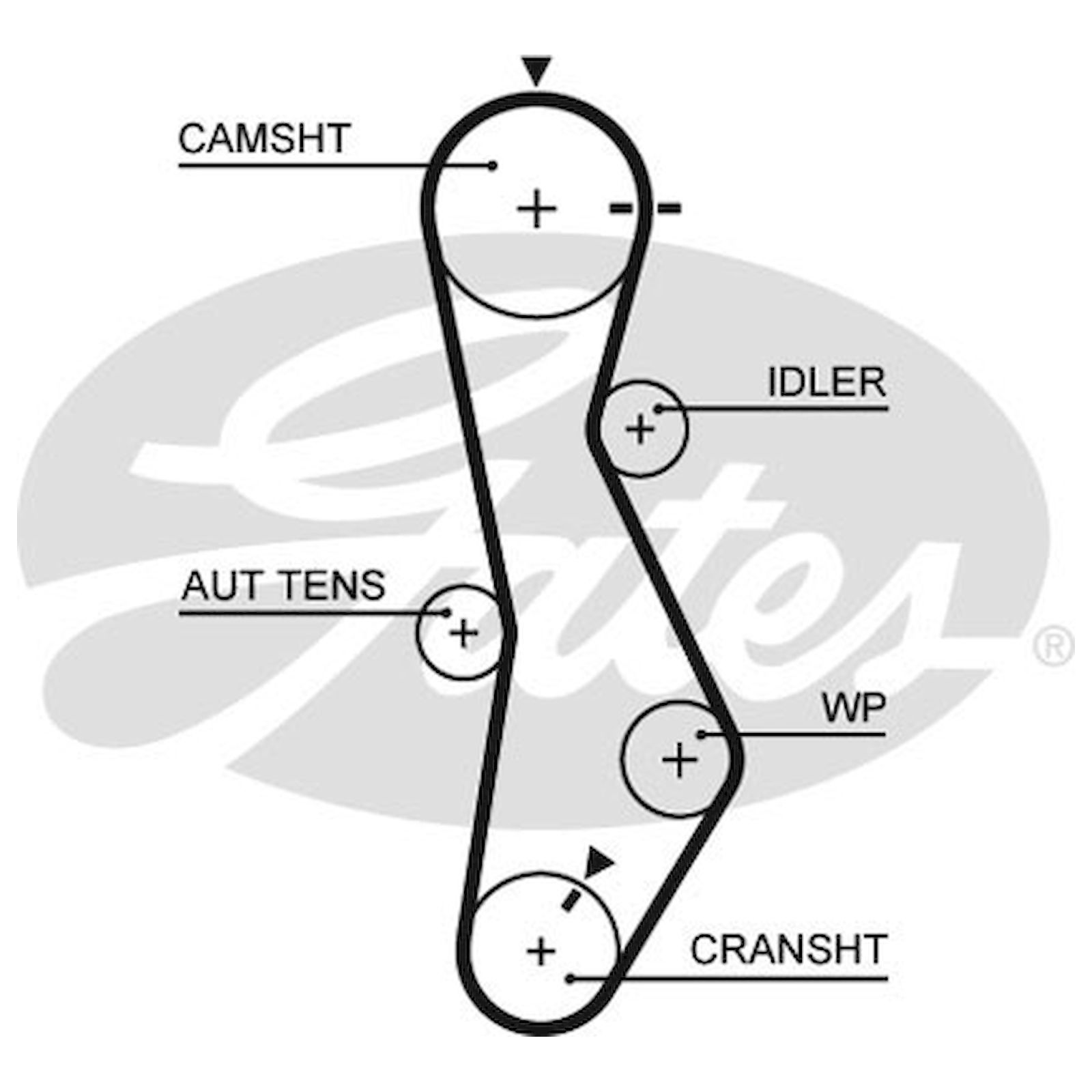 Hyundai I30 Timing Belt atelieryuwa.ciao.jp