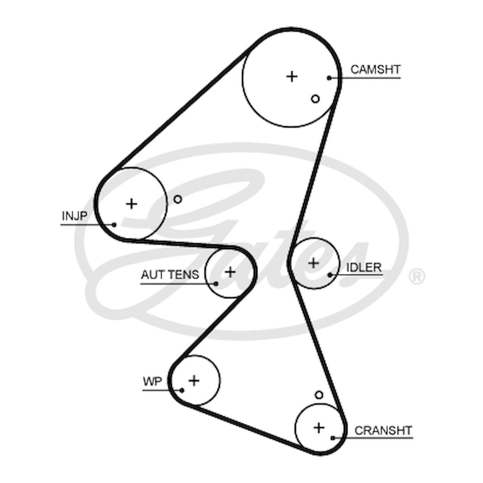 Timing Belt Peugeot 308 atelieryuwa.ciao.jp