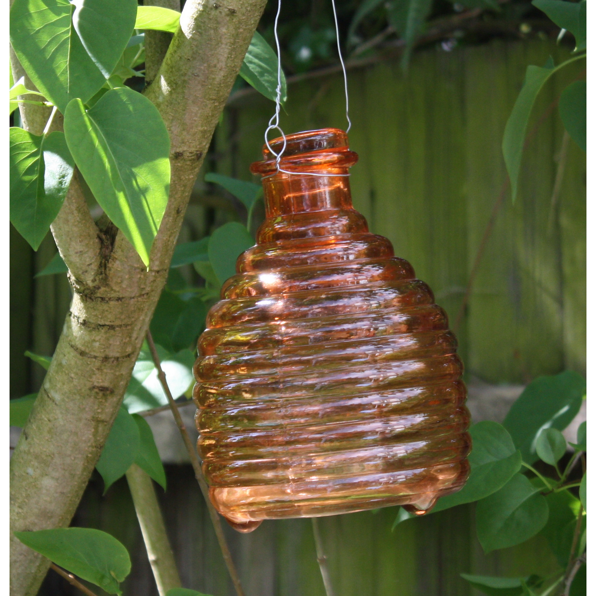 Orange Glass Wasp Catcher blendboutique