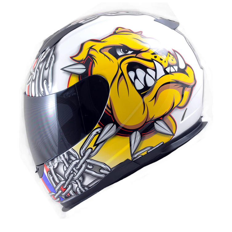 Dog motorcycle best sale helmet uk