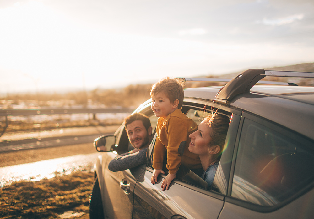 DriveDen roof bars buying guide