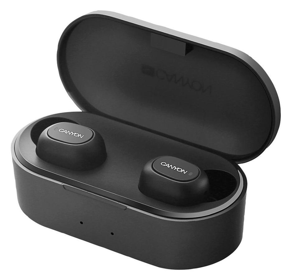 canyon true wireless stereo headset