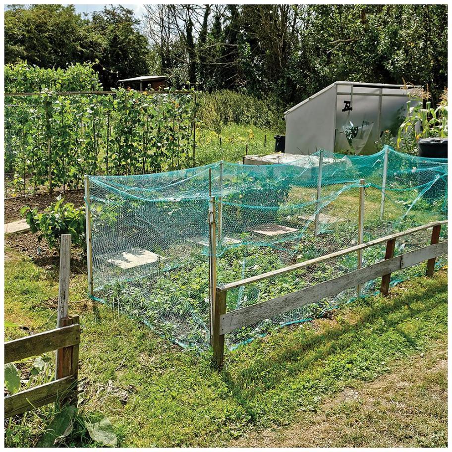 1m x 50m Windbreak & Shade Netting, Green - 1629