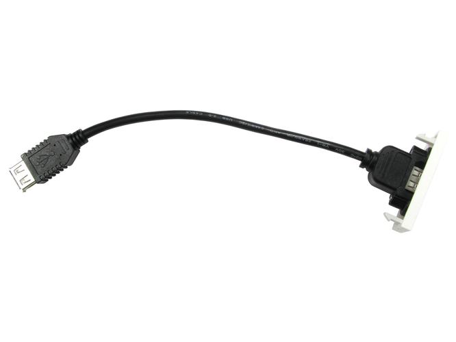 1 x USB type a euro module pigtail type