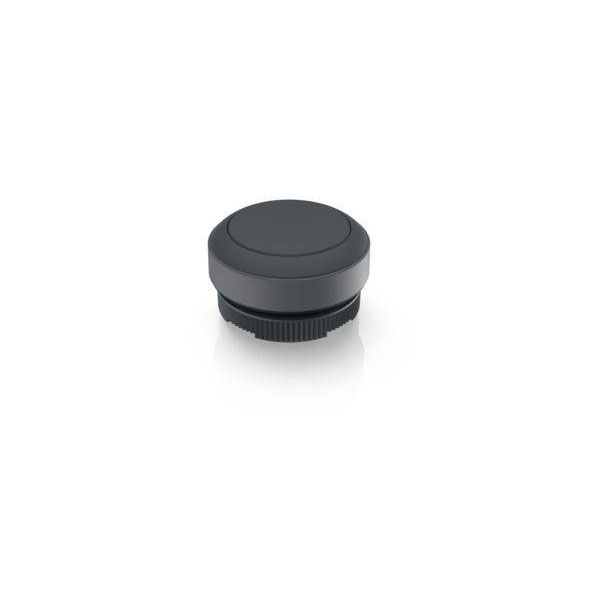 RAFI 1.30.270.001/0101 RAFIX 22 FS Pulsante Momentaneo 29,8x29,8x18,5 mm