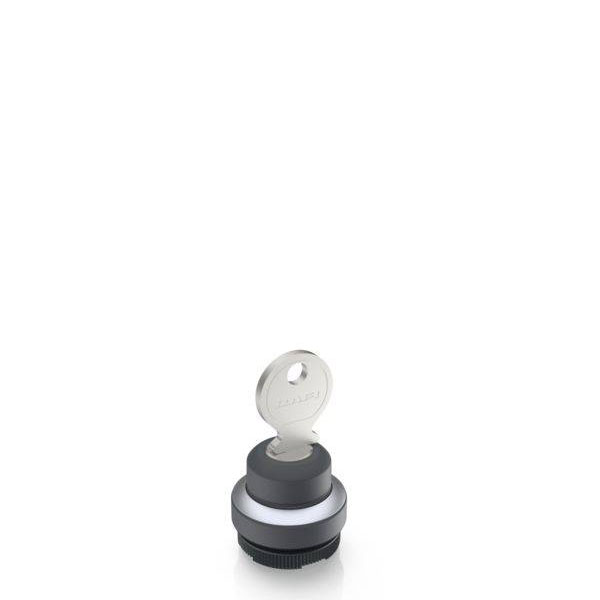 RAFI 1.30.275.222/0000 RAFIX 22 FS+ Key Switch 1x90° 1pc Durable Design