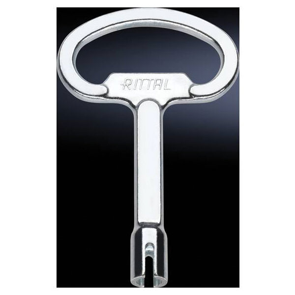 Rittal 2521.000 SZ Centralino Chiave Daimler Acciaio 1 pezzo(i)