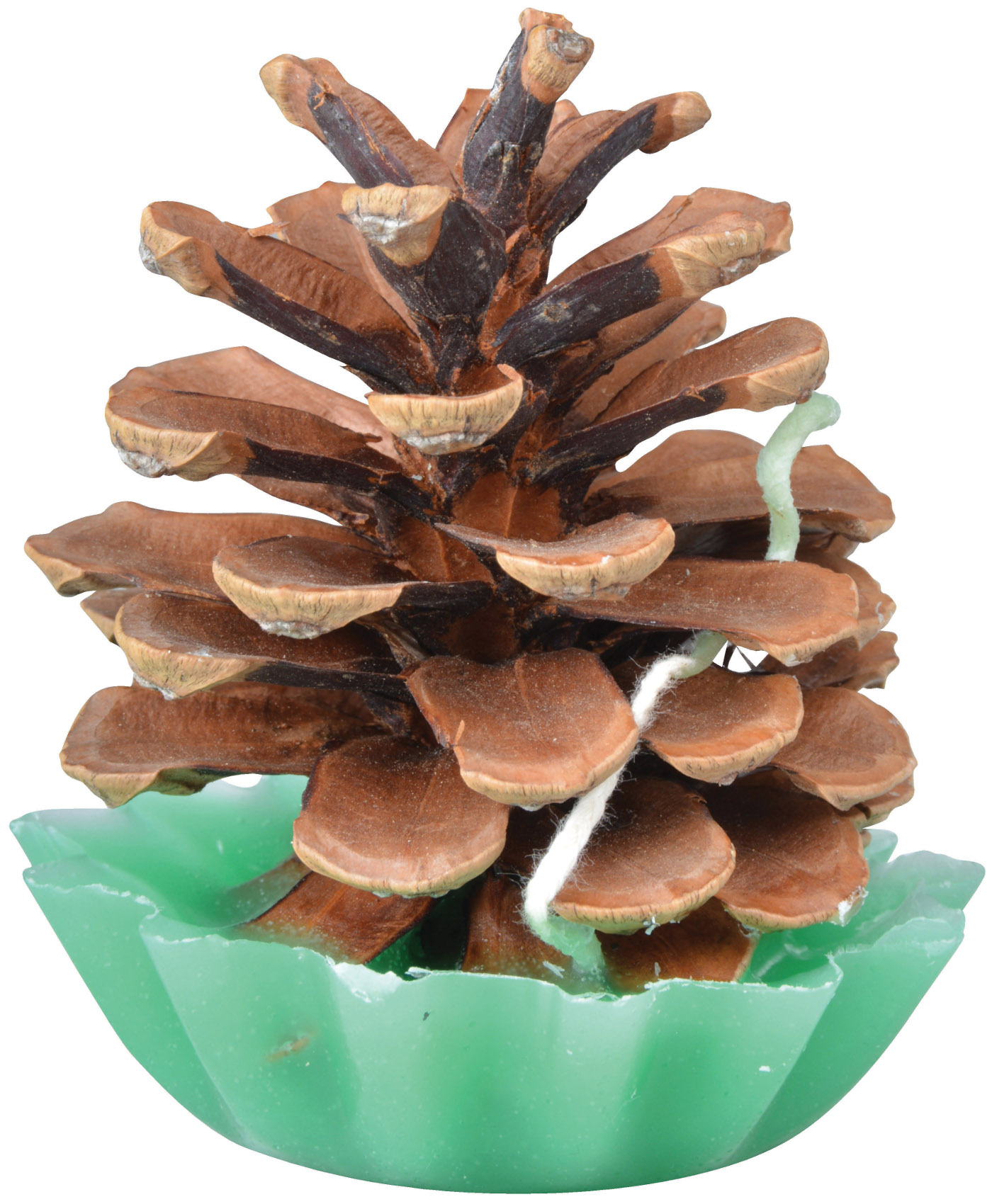 Pack of 10 Pinecone & Wax Fire Starters Fancy Flames All Natural