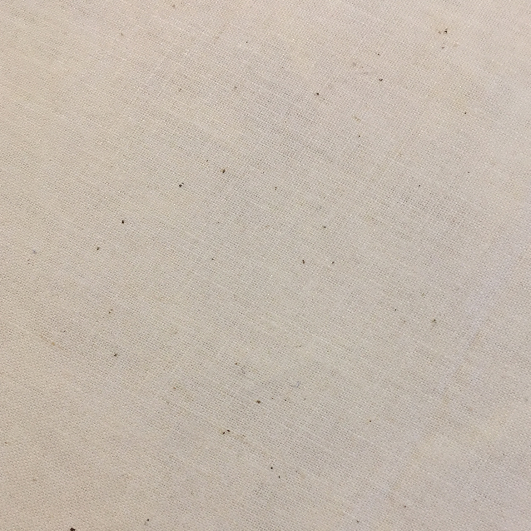 Picture 3 of 39