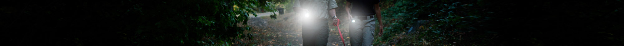 Outdoor Lamps, Torches & Lighting Ireland