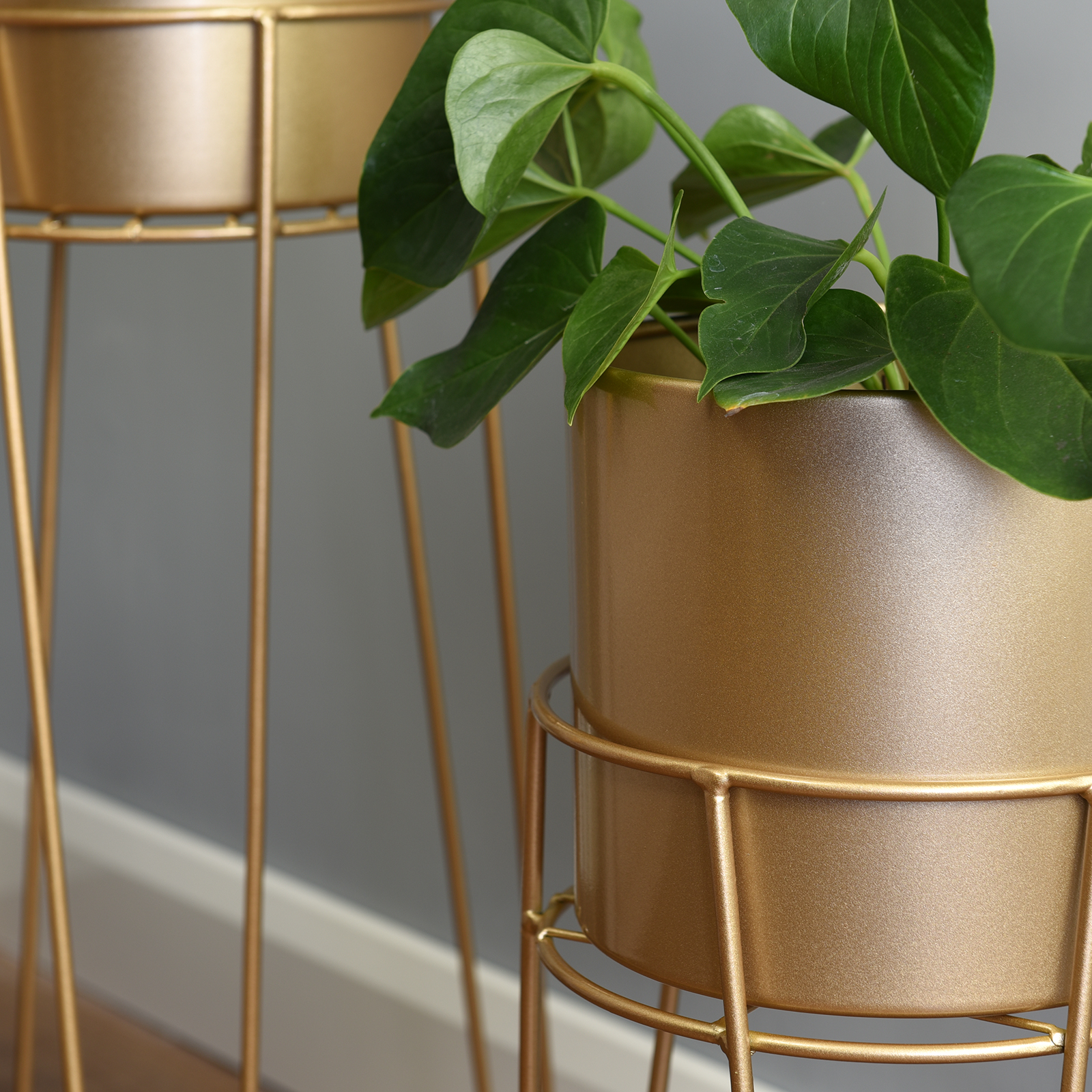 Hartleys Tall Indoor Metal Hairpin Leg Plant Pots & Stands For Hall