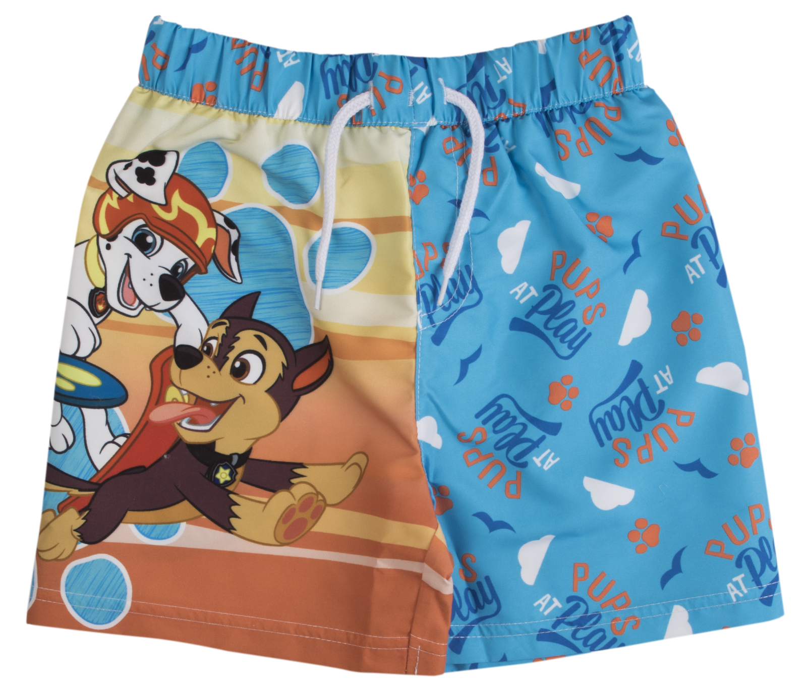 swimming chase paw patrol