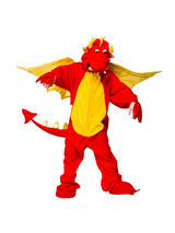 Child's Fire Breathing Dragon Costume