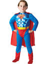 Child Metallic Chest Superman Costume