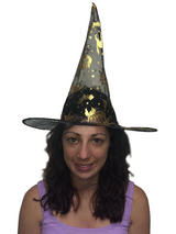 Adult Ladies Gold Witch Hat