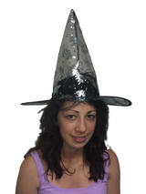 Adult Ladies Silver Witch Hat