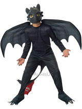 Child Boys Toothless Costume