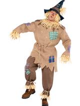 Mrscarecrow Costume