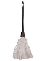 Feather Duster