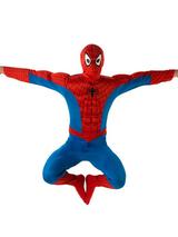 Deluxe Spiderman Costume