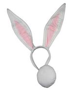 Giant Bunny Set