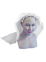 Hen Night Veil