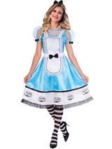 Ladies Alice Costume