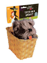 Book Wizard Of Oz Toto Basket